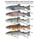 Sea monsters Glidebait Real Lures Two Section