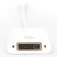 Digitus DisplayPort do DVI-I adapter