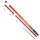 Mikado Surfcast Litore surfcastingstang