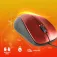 NGS Mouse CREWRED