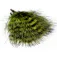 Baetis Plume Barred Marabou