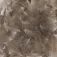 Baetis Ploma CDC Wild