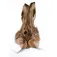 Baetis Hare Mask Feather