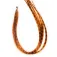 Baetis Cabell Grizzly