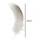 Baetis Plume Real Duck