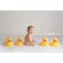 Olmitos Canard Big