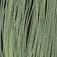 Baetis Silicone Legs