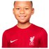 Nike Liverpool FC Academy Pro Junior T-shirt