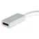 Equip USB C - DisplayPort 어댑터