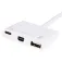 Equip USB C till Mini DisplayPort adapter