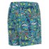 Nike Shark Parky 4´´ Volley Zwemshorts