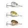Effzett Cullereta Executor Spinner 8g