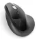 Kensington K75501EU wireless mouse