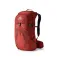 Gregory Citro RC rucksack 30L