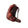 Gregory Citro RC rucksack 30L
