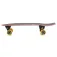 Hydroponic Surfskate Fish 28´´
