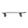 Hydroponic Surfskate Fish 31.5´´