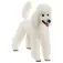 Schleich Pudelfigur