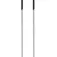 Völkl Phantastick III 杖