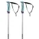 Völkl Phantastick 여자 폴