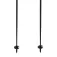 Völkl Speedstick 杖