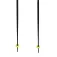 Völkl Speedstick 杖