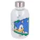 Stor Sonic The hedgehog Pullo 620ml