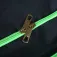 Mikado Bossa d´estris Method Feeder