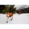 Ruffwear Giacca per cani Vert