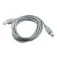 Gembird Cable USB 3.0 a USB B 1.8 m