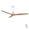 Cecotec Energysilence Aero 590 ceiling fan
