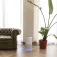 Cecotec Totalpure 2000 Connected air purifier