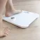 Cecotec Báscula Precision Ecopower 10000 Healthy