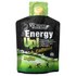 Victory Endurance Energi Gel Energy Up 40 G Mojito