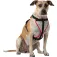 Nathan Reflective 狗背带