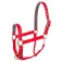 BR Event Adjustable halster