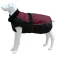 Freedog North Pole Model C dog jacket