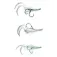 ZunZun Gun´s Tako Curly Weicher Köder