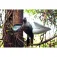 Mojo outdoors Esquer de Colom de Vent