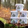 Wildlockmittel Köder mit Duft nach neutraler Salzpaste 2kg