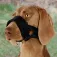 Trixie Loop muzzle