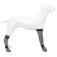 Trixie Protective hundesko