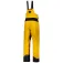 Scott XT Shell Dryo pants