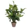 Mica decorations Pianta Artificiale Hosta