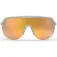 Spektrum Blank polariserte solbriller