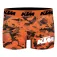 Ktm Boxers Motegi