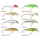 SPRO Floating minnow 100 mm