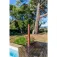 Gre Solar douche 9L