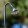 Gre accessories Solar shower 9L