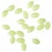Ragot Soft beads 20 units